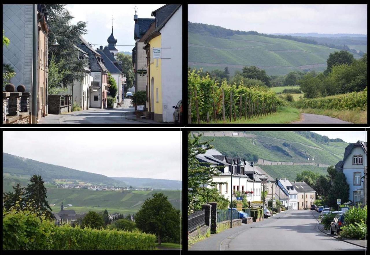 The Old Gemeinde House by the Mosel River Brauneberg Exterior foto
